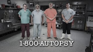 DOCS 1800AUTOPSY [upl. by Gabriele869]