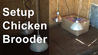 Set Up the Chicken Brooder [upl. by Adia]