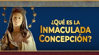 ¿Qué es la INMACULADA Concepción de la Virgen  Dogma mariano inmaculadaconcepción [upl. by Isyed]