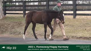 Hip 22  Yearling Colt by Flameaway  Happy Harmony [upl. by Ailaham]