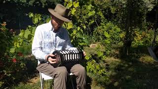 Orange in Bloom Jeffries Anglo concertina [upl. by Zaraf773]