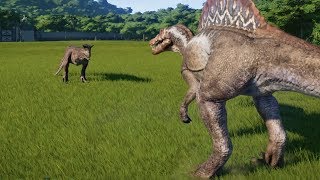 Carnotaurus VS Spinosaurus  Jurassic World Evolution [upl. by Nileuqay]